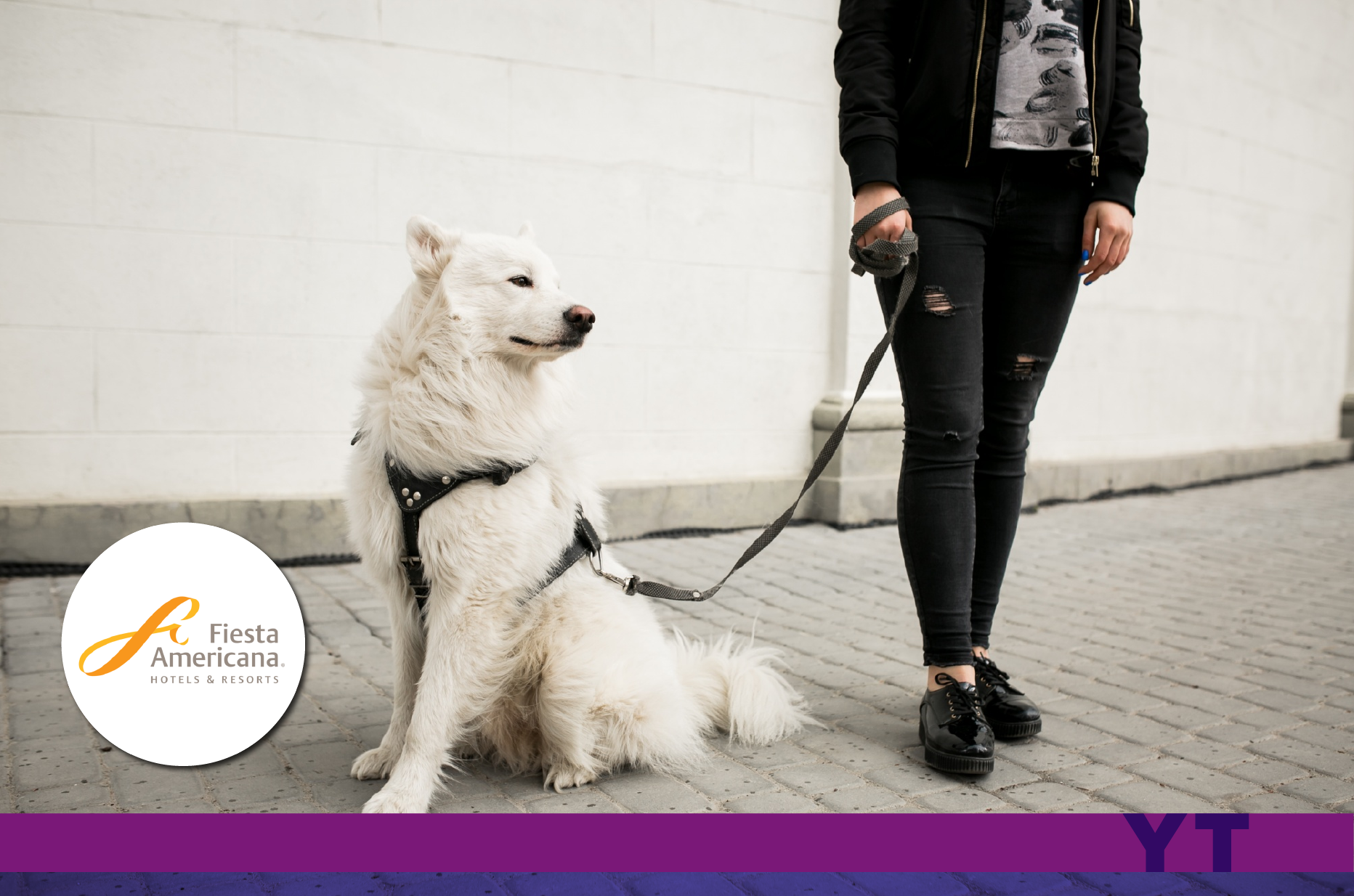 Persona junto a su perro de asistencia