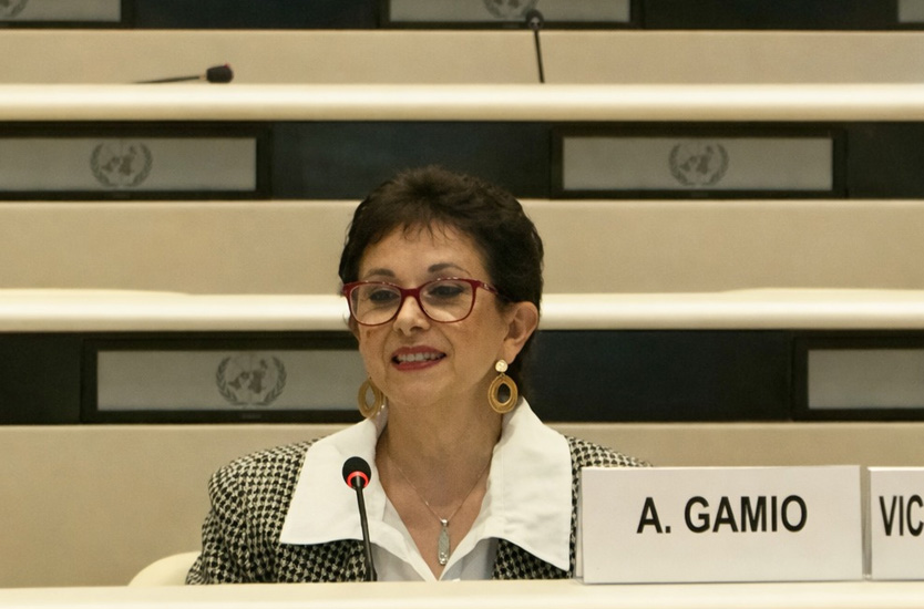 Amalia Gamio, vicepresidenta del Comité sobre los Derechos de las Personas con Discapacidad de la ONU, durante una sesión oficial